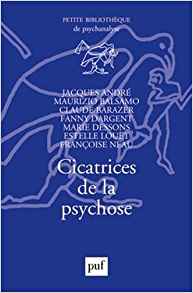 Cicatrices de la psychose sous la direction de Jacques André