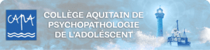 logo CAPA