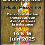 Journée de la SEPEA à Aix-en-Provence