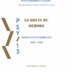 4ÈME COLLOQUE DU PÔLE PSYCHANALYTIQUE ASM13 « Le bruit du dehors »