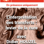 Conférence « L'interprétation des transferts: levier de la cure » avec Didier Houzel